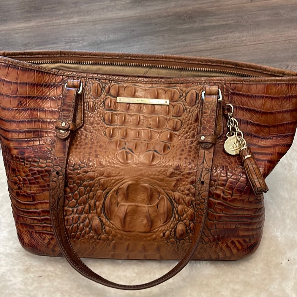 Brahmin Purse